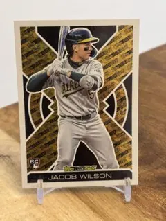 ジェイコブウィルソン