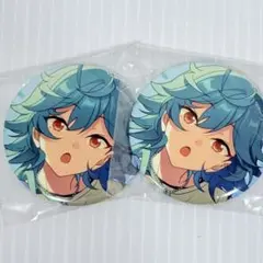 あんスタ 宝丈 萊香 ライカ コレクション 缶バッジ Feb Casual 2点