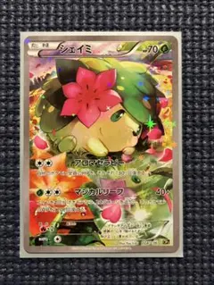 2026年最新】シェイミ cp5 幻·伝説ドリームキラコレクションの人気