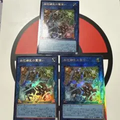 赤*人様 遊戯王 四花繚乱の霊使い 3枚セット
