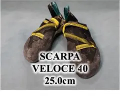 Item thumbnail for item e889b26a-3944-4957-a122-5012ed1cf5ba