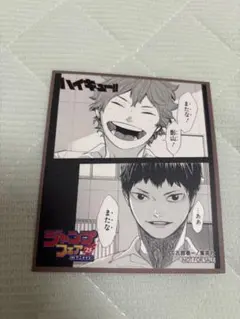 ジャンプフェア2025 アニメイト特典 ミニ色紙 ハイキュー!!