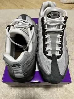 最終価格Nike sb Air Max 95 cacao wow 28.0