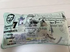 ウォルト・ディズニー・カンパニー創立100周年記念グッズ　クッション