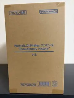 POP ワンピース Evolutionary History ナミのサムネイル