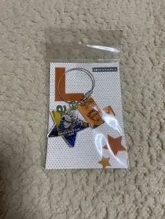 ワンピース アクリルキーホルダー ロー