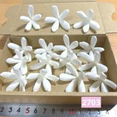 ソラフラワー　2703