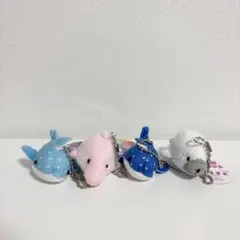 水族館マスコット あるまど まとめ売り