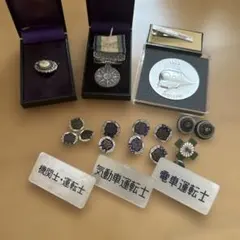 Item thumbnail for item ed077c28-afa4-4417-bc17-42af4d3d32c2