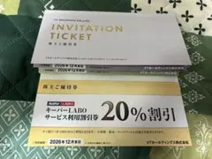 VT ホールディングス優待券2冊