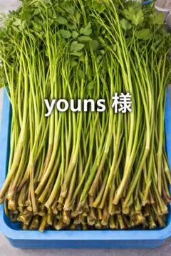 Youns 様　専用のページ