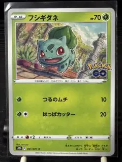 フシギダネ PROMO ADV-Pプロモカード 051/ADV-P - メルカリ