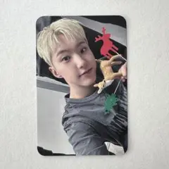 SEVENTEEN ホシ トレカ sixkshop 購入特典
