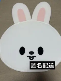SKZOO ジニレット うちわカバー ソウルコン 2枚 - メルカリ