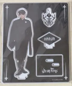 &TEAM HARUA ハルア　we on fire アクスタ　新品未開封