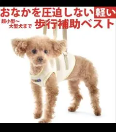 セロニー様 リクエスト 2点 まとめ商品