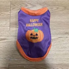DAISO ハロウィン ペット服 パープル Sサイズ 犬用