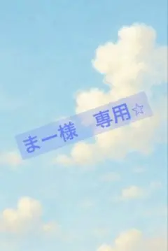 まー様　専用⭐︎