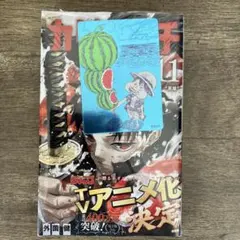 美品☆カグラバチ 10巻 初版 ワンピース ナツコミ カード 特典付き