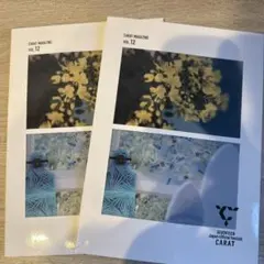 SEVENTEEN CARAT MAGAZINE VOL.12 2冊セット