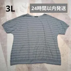【24時間以内発送】5分袖ボーダートップス グレー 3L