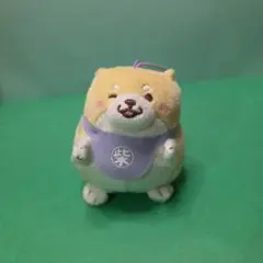 忠犬 もちしば ぬいぐるみ マスコット 柴犬