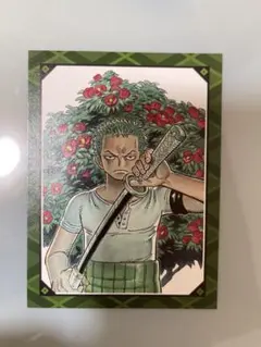 ONE PIECE novel ZORO 初版 シュリンク付きイラストカード付 - メルカリ