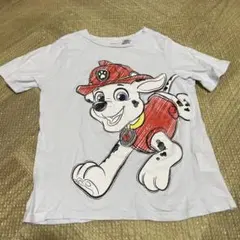 マーシャル　パウパトロール