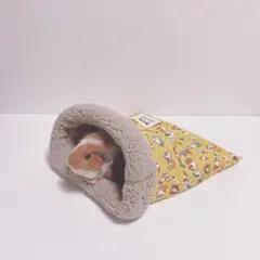 Item thumbnail for item ac11bf6e-6e6e-4473-98fa-2a462bce783a