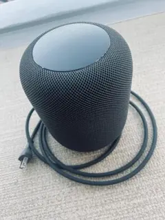 Apple Pod スペースグレー 本体 ジャンク品 2026年最新】homepod ジャンクの人気アイテム - メルカリ