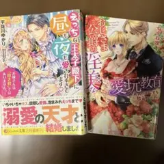 えっちな王太子殿下に昼も夜も愛されすぎてます 他計2冊おまとめ