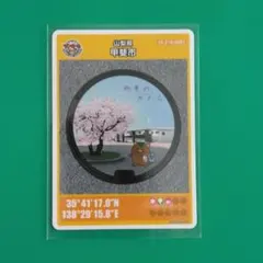 Item thumbnail for item 04617ef2-f09f-4a57-96e3-e9a79d730531