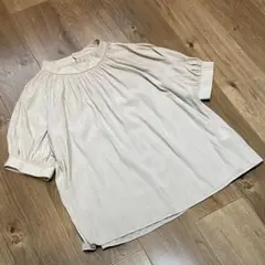 any SiS 半袖シフォンプリーツブラウス ベージュ エニスィス エニシス