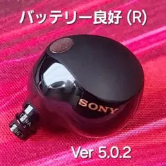 【バッテリー良好】SONY WF-1000XM5 ブラック 右耳