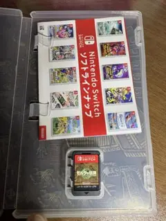 ゼルダの伝説 ティアーズ オブ ザ キングダム