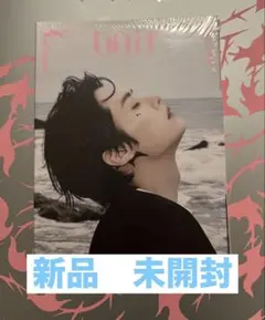 ⭐︎新品未開封⭐︎Stray Kids スキズDO IT アコーディオン リノ