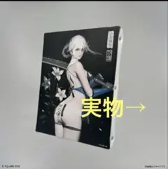 ニーアレプリカント　15周年　記念　オンラインくじ　キャンバスボード　カイネ