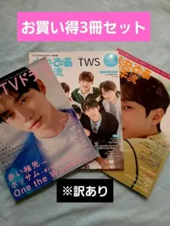 韓国TVドラマ 韓流ぴあ 雑誌 3冊セット