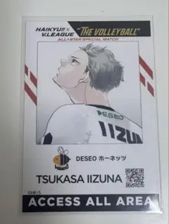 ハイキュー！！　Ｖリーグ　オールスターコレクション　影山　星海　牛島　飯綱　山本 ハイキュー！！ Vリーグ オールスターコレクション 影山 星海