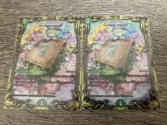 DM ジャスミンの地版 a版 2枚