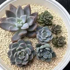 なっちゃん様 リクエスト 2点 まとめ商品