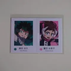 나의 히어로 아카데미아 미도리 타니 히사리 레이일 차코 카드 2장 세트