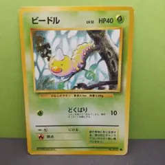 2026年最新】ビードルポケモンカードの人気アイテム - メルカリ