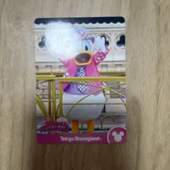 ミニーのファンダーランド コレクションカード ドナルド