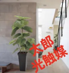 光触媒　人工観葉植物　ウォールグリーン　フェイクグリーン　ウンベラータ1.2のサムネイル