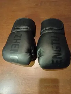 【格闘技グローブ】ZHENGTU ボクシンググローブ ブラック 10oz