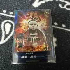 Item thumbnail for item 5ead54bb-97bc-46f8-9fe8-4ee74f375c08