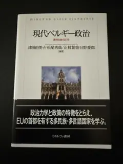 現代ベルギー政治 連邦化後の20年