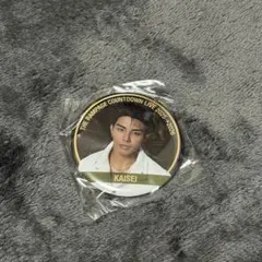 武知海青 缶バッジ