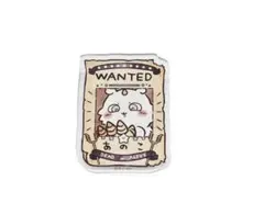 【あのこ】ちいかわアドベンチャー アクリルクリップ